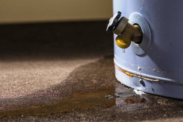 Best 24-hour water damage restoration  in Lake Morton Berrydale, WA