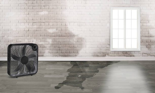 Fire Damage Restoration in WA