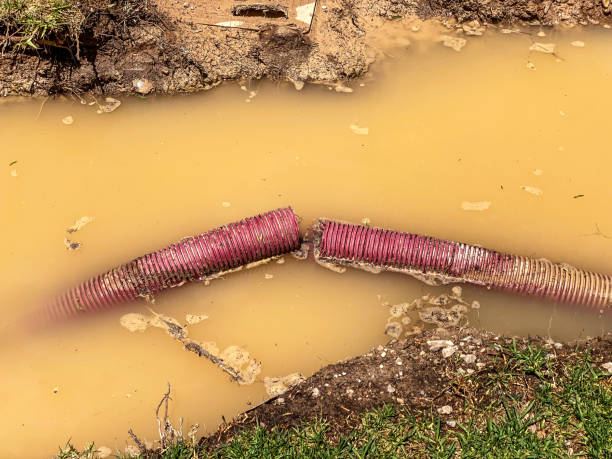 Best Water damage cleanup near me  in Lake Morton Berrydale, WA